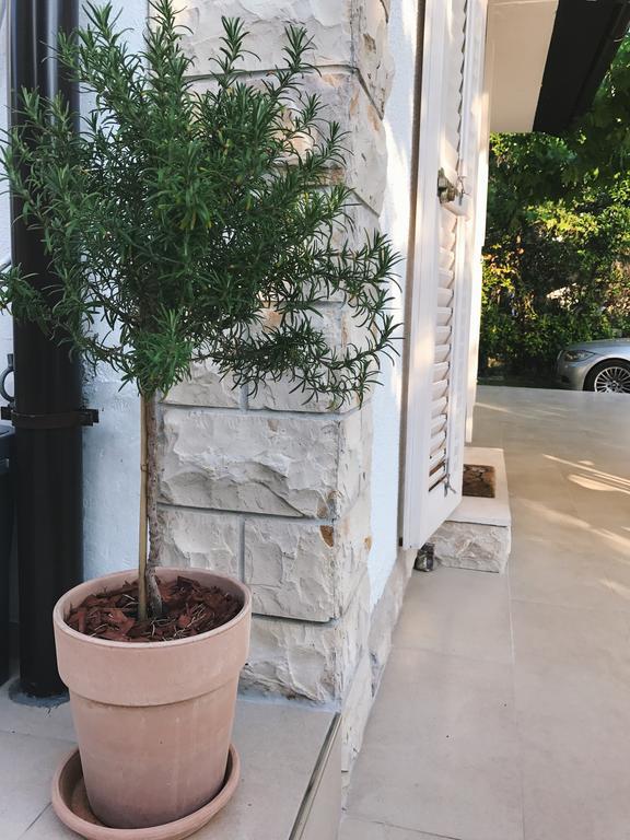 Apartment Puntica Petrcane Exterior foto